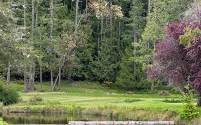 Charity Golf Tournament